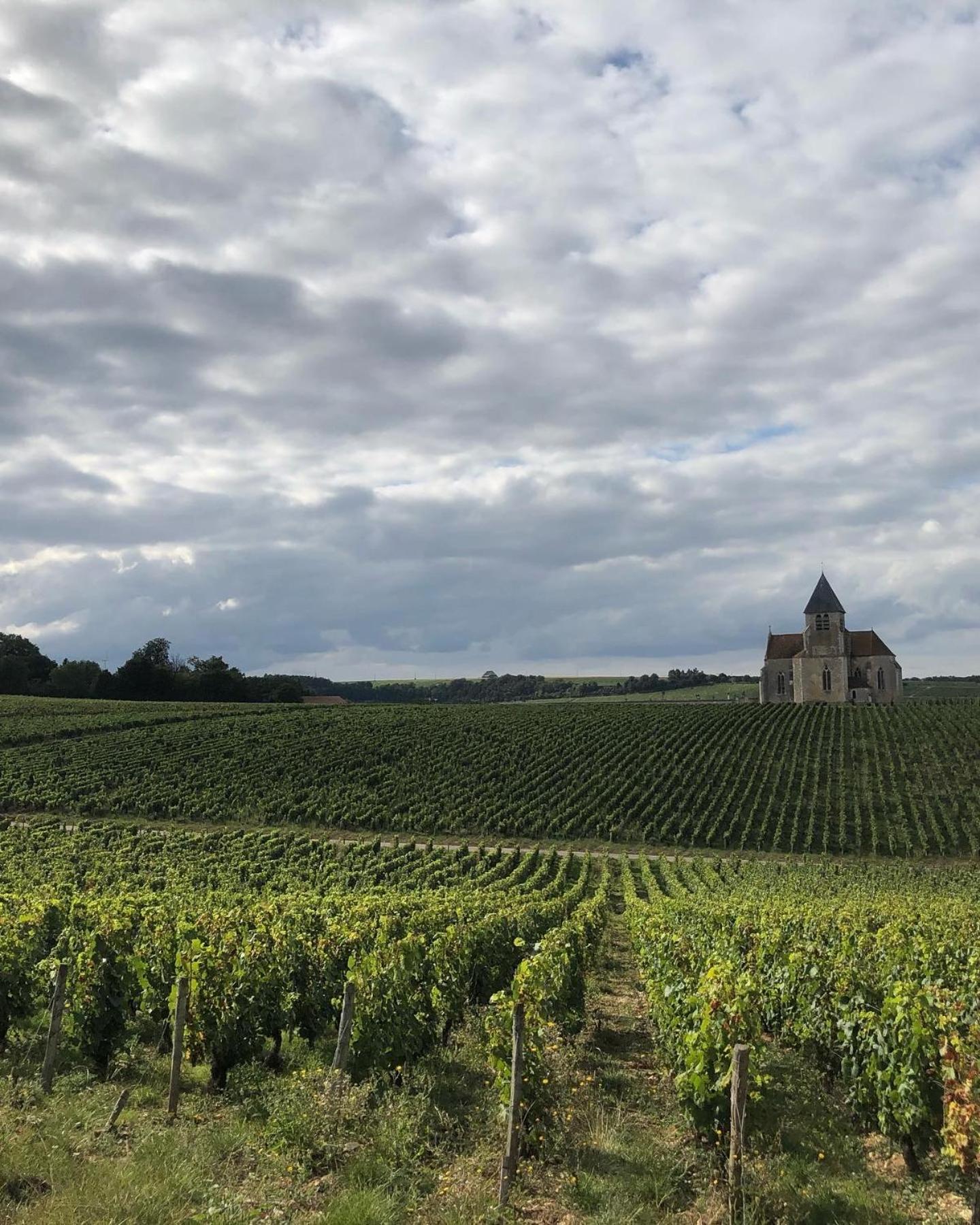 Maison De Pauline, Chablis Vineyard Prehy Room photo